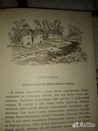 Приключения Незнайки. Витя Малеев. Носов