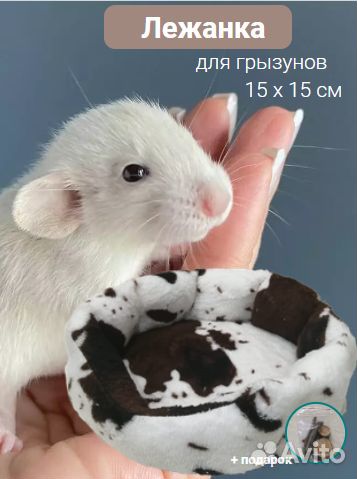 Лежанка 15х15см для крыс, хомяков