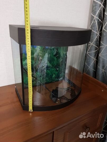 Аквариум 30 литров