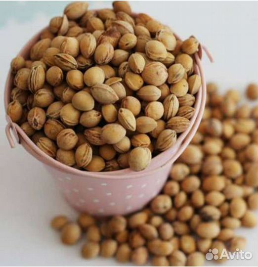 Вишневые косточки.Косточки вишни