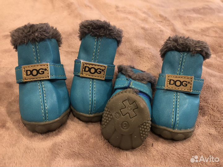 Обувь для собак