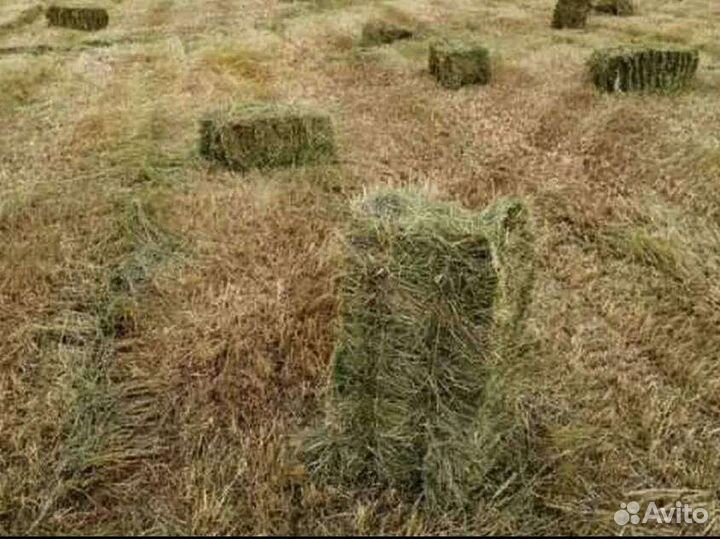 Сено в тюках