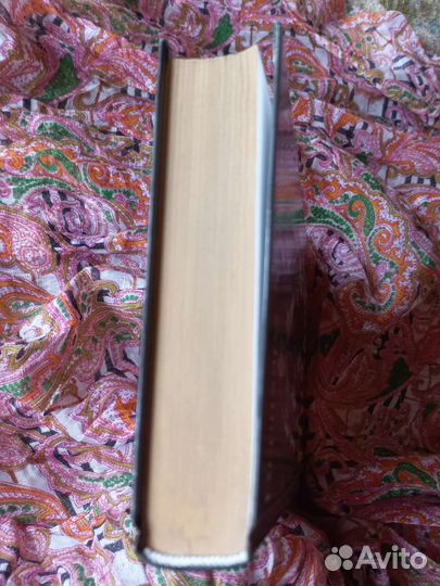 Бернхард Хеннен, Меч эльфов, Рыцарь из рода Других