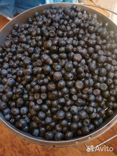 Ягоды черника