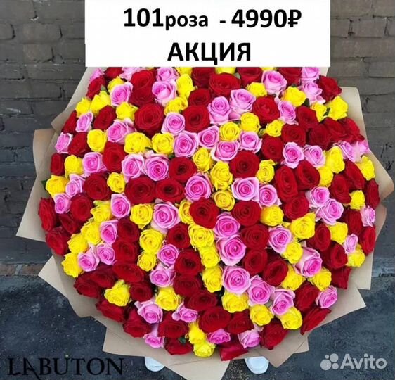 Букет 101 Роза с доставкой Цветы Букет Розы