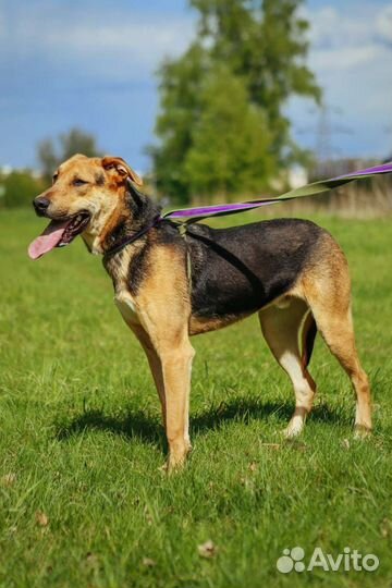 Дастин родился и вырос в приюте