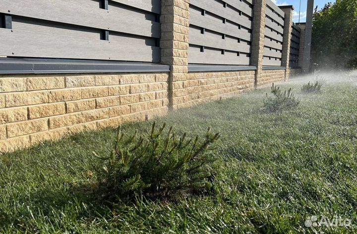 Рулонный газон с укладкой