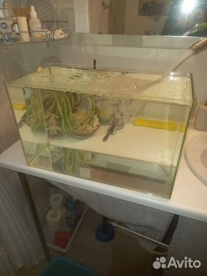 Аквариум