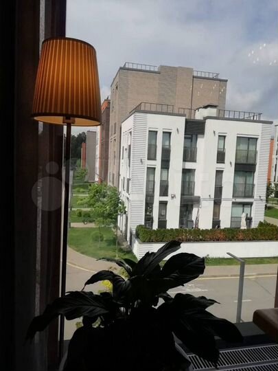 Псн/офис/кофейня/кальянная Голландский квартал 66м