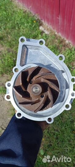 Водяной насос газон Некст