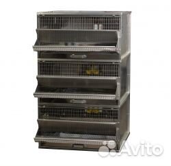 Клетка для перепелов