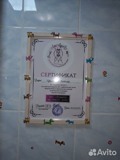 Стрижка собак и кошек