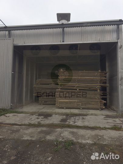 Не обрезная доска липа 3 сорт