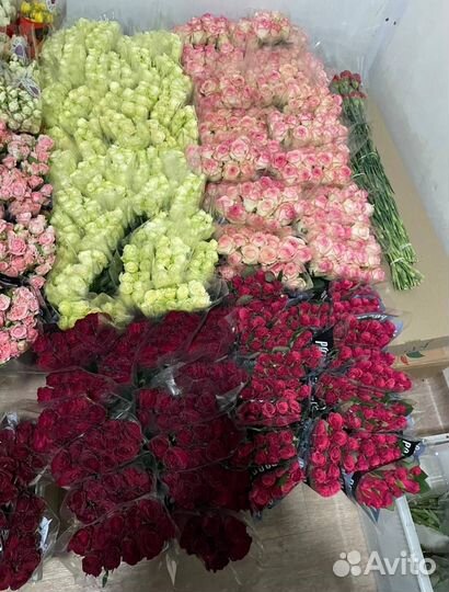 Розы упаковкой