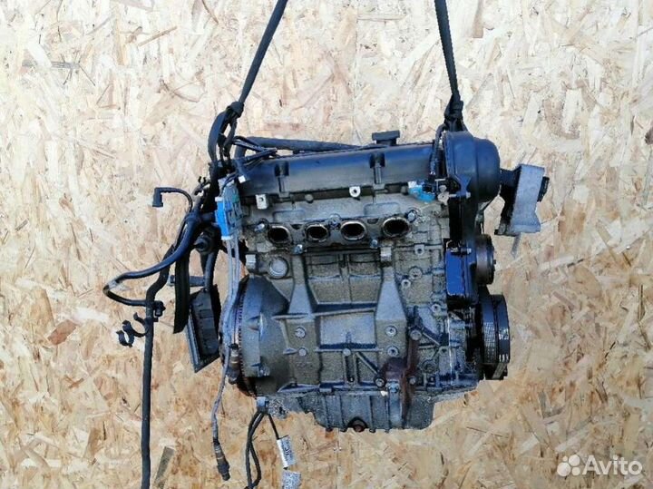Двигатель Ford Focus 2 (2005 - 2008) 1.6 hwda