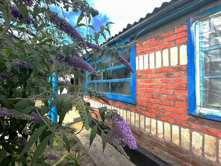 Дом 49,1 м² на участке 18 сот.