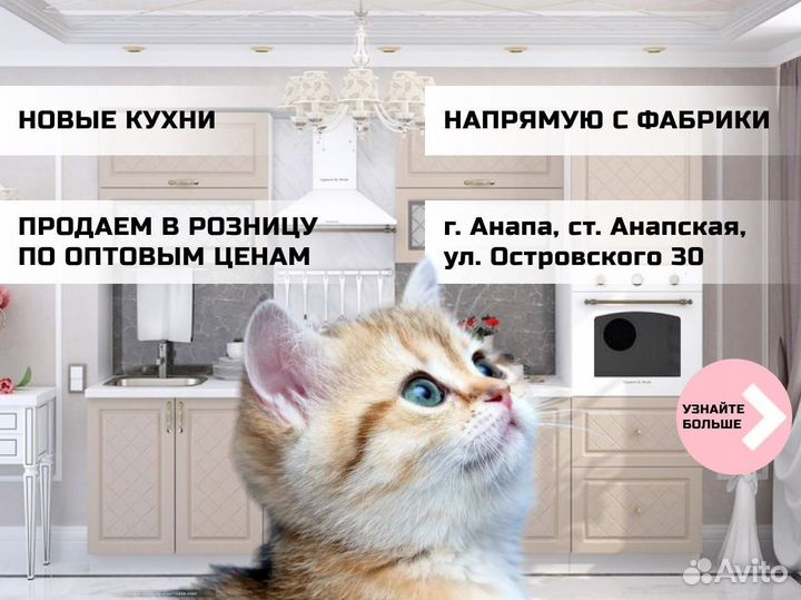 Кухонные гарнитуры. Арт.Ж778