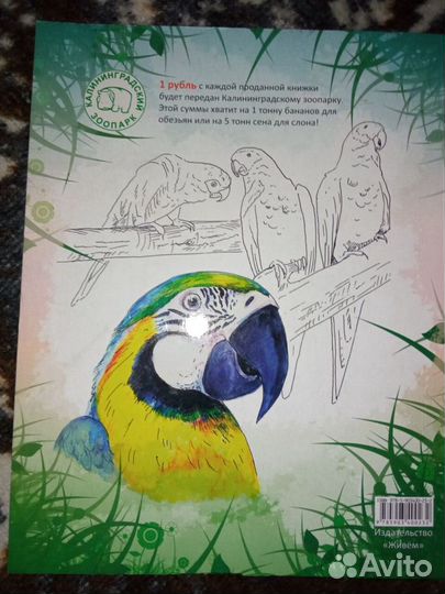 Раскраска-книга 