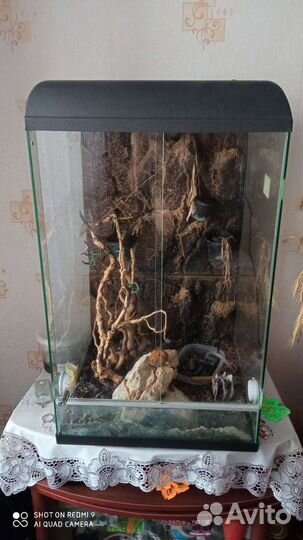Террариум для рептилий