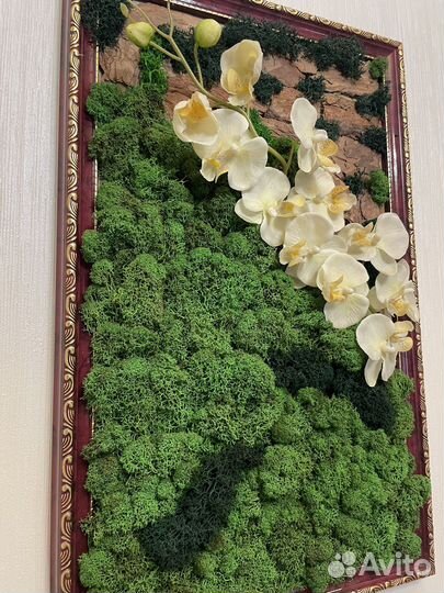 Панно из стабилизированного мха
