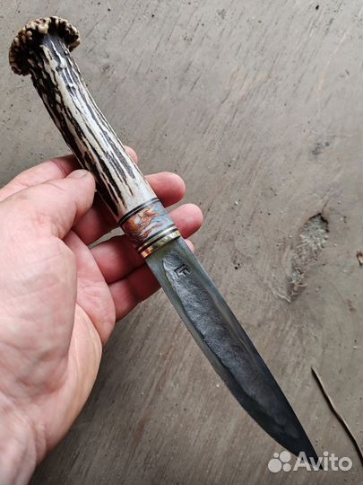 Рога косули