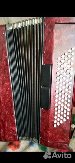 Аккордеон Заря2