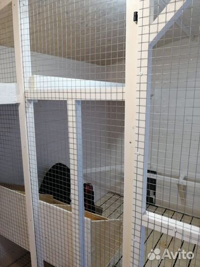 Курятник утепленная