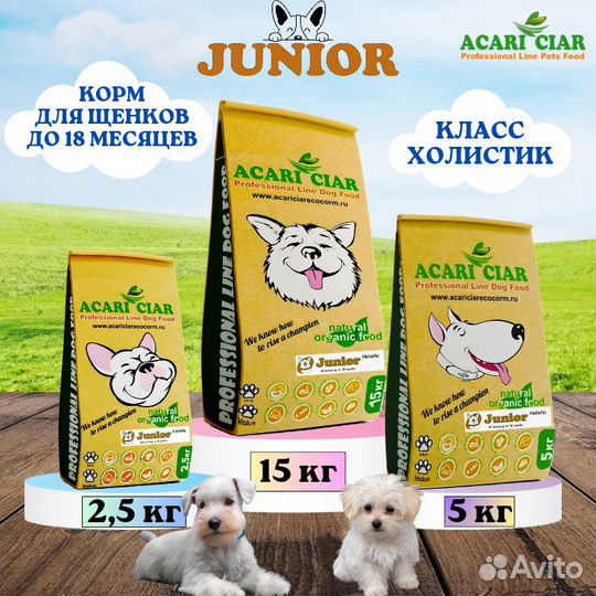 Корм Junior Holistic для собак Acari Ciar