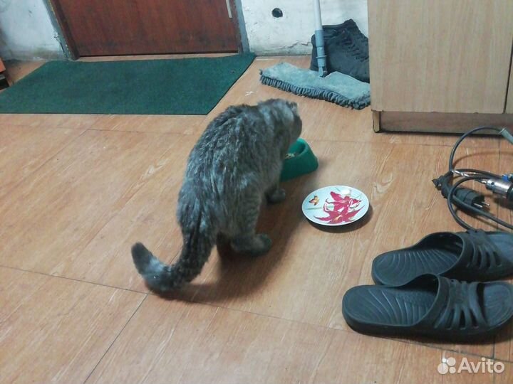 Продам за 500