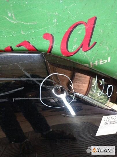 Капот передний honda stepwgn