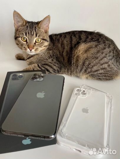 iPhone 11 Pro Max, 64 ГБ