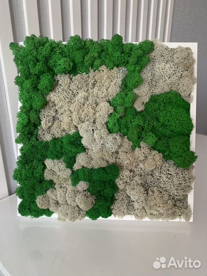 Эко-картина из мха