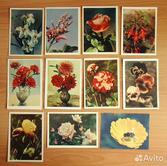 Открытки СССР и ГДР Разные