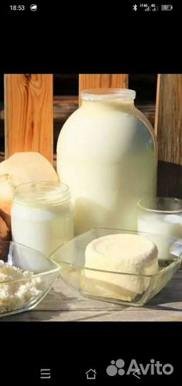 Козье молоко