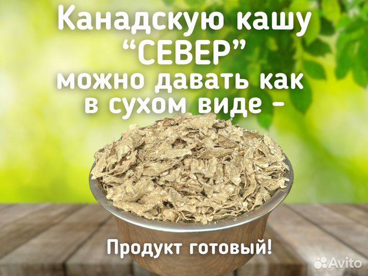 Корм для собак Север мясной 7кг