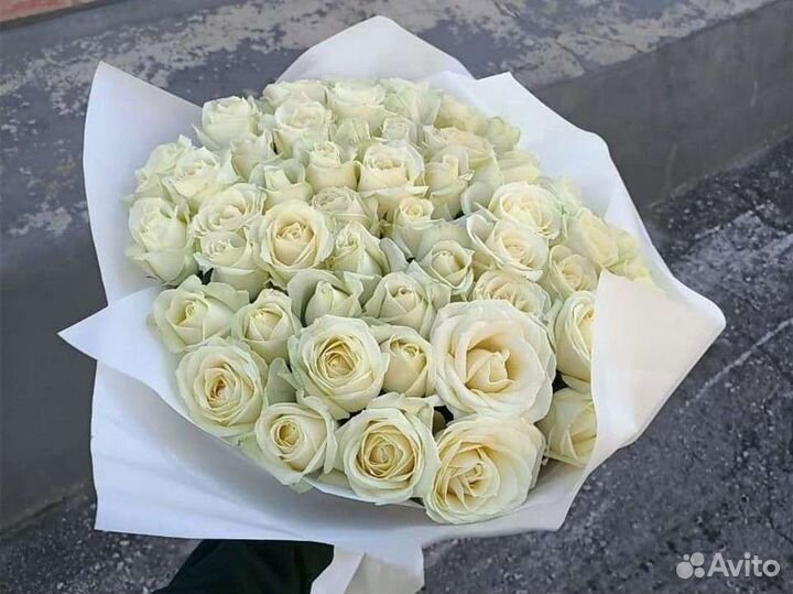 51 роза 80см с доставкой. Розы оптом