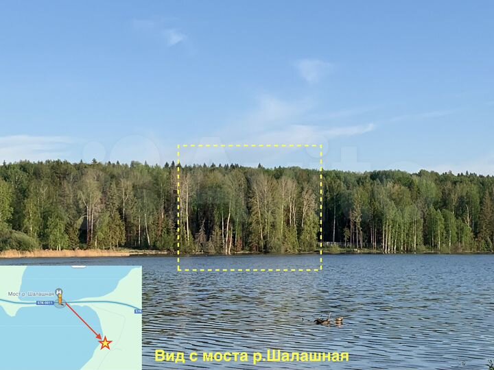 Участок 21 сот. (СНТ, ДНП)