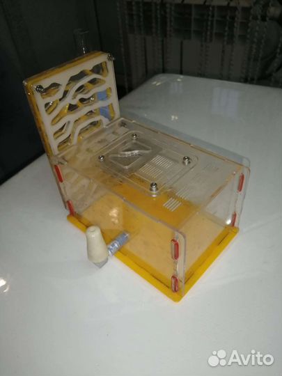 Муравьиная ферма