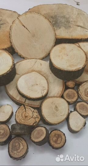 Спилы деревьев