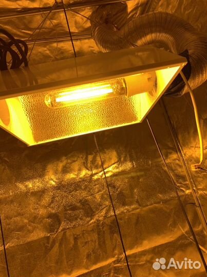 Эпра днат мгл 600 Tophort