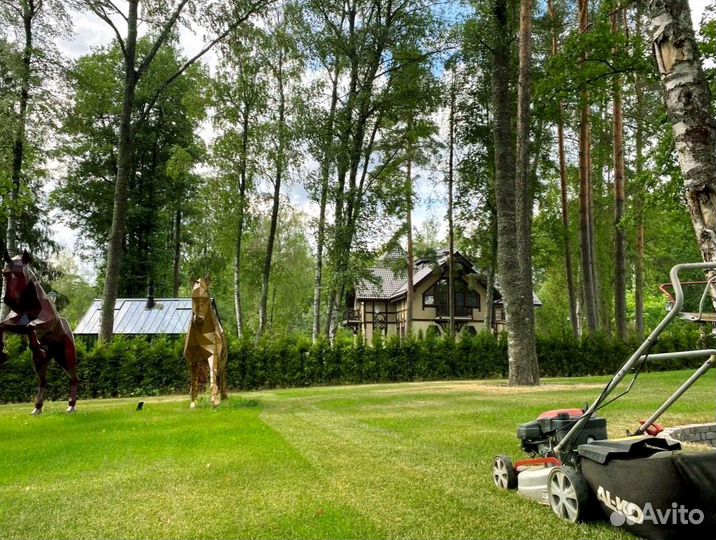 Рулонный газон