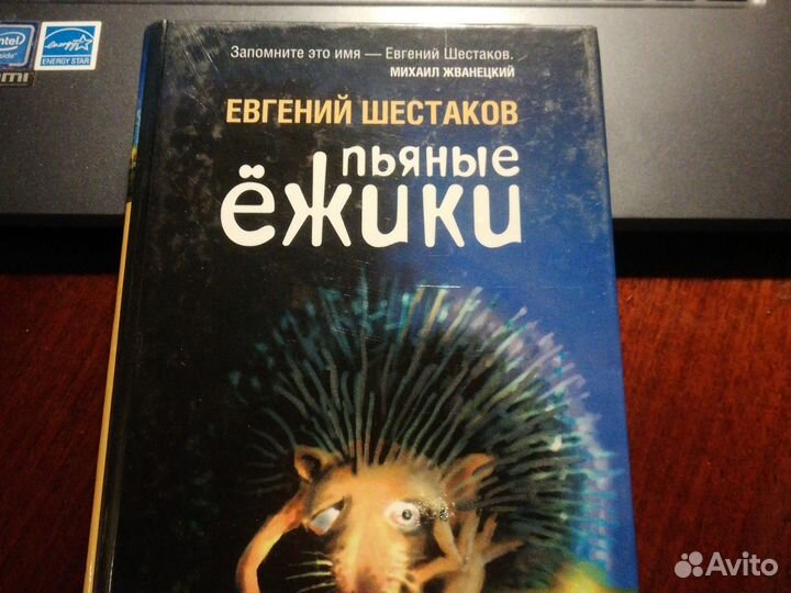 Евгений Шестаков пьяные ёжики