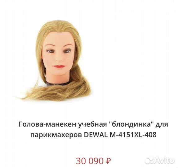 Голова учебная dewal