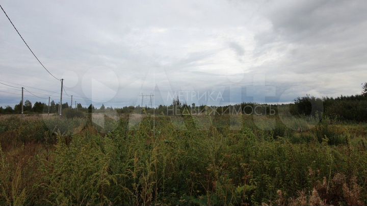 Участок 8 сот. (СНТ, ДНП)