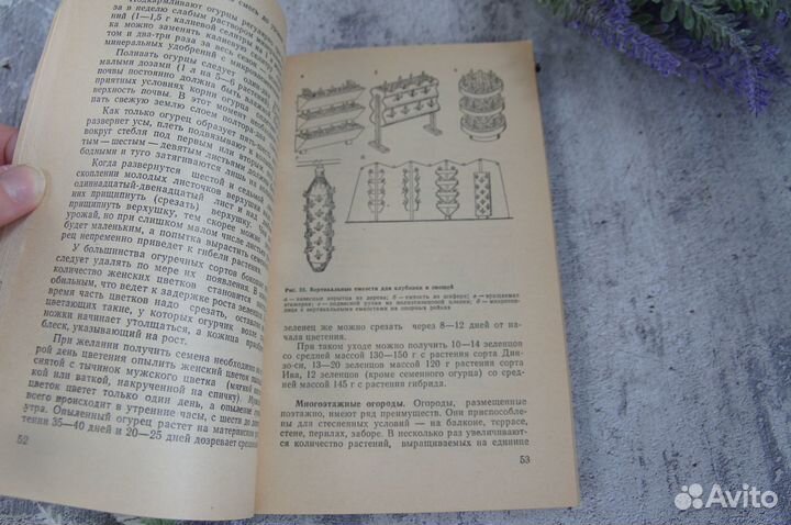 Мастер в доме Горбанев 1992 г