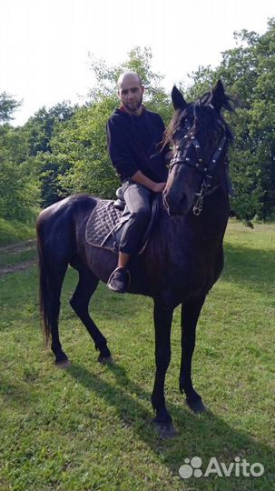 Конные прогулки