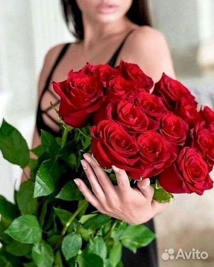 101 роза цветы букеты доставка 25 51 101 роза