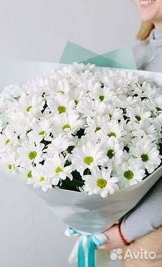 Хризантема Доставка цветов