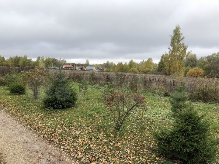 Участок 3,6 га (СНТ, ДНП)