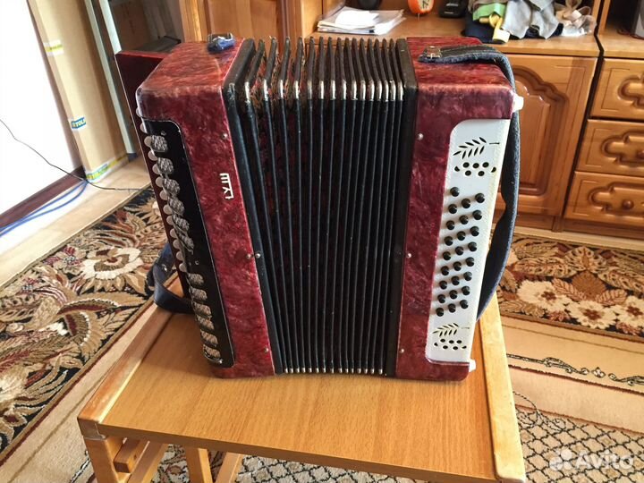 Гармонь Рябинушка